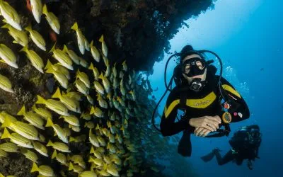 Transformation: in at the deep end
