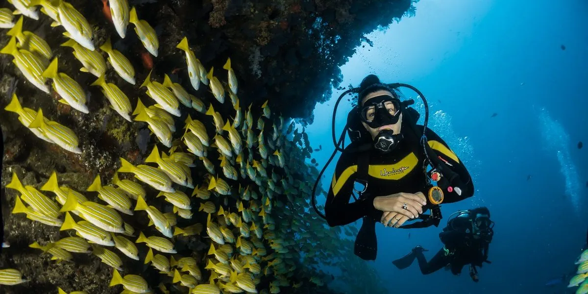 sebastian-pena-lambarri-7i5HMCGupVw-unsplash1200x600 woman swimming under water with yellow fish